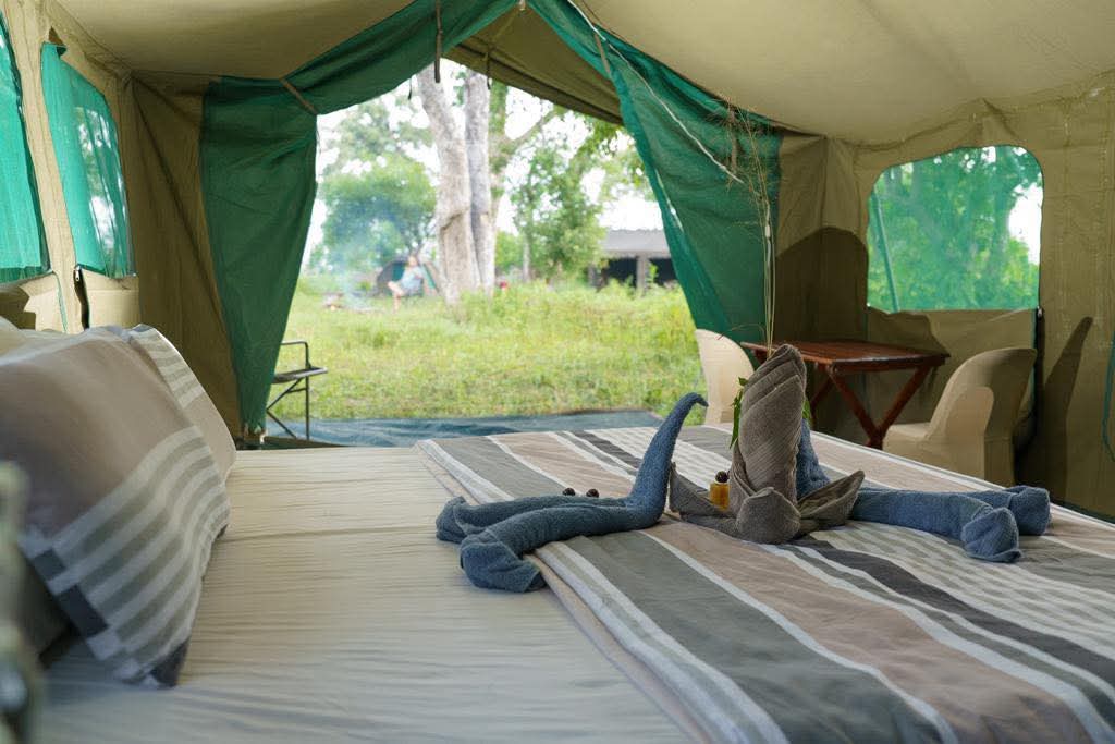 Safari camping