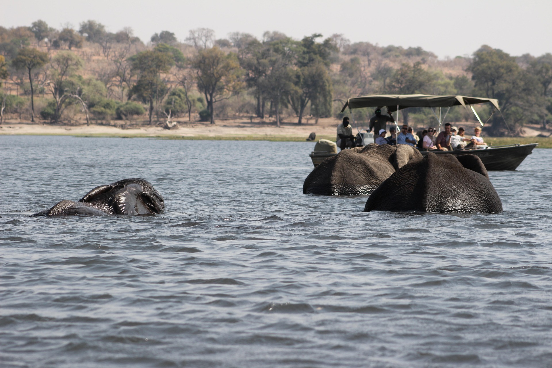 Safari with Leonard Kasale Chobe Boat Cruise