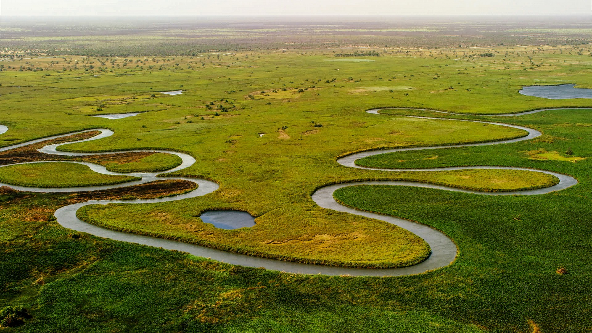 Leonard Kasale safari Okavango Delta