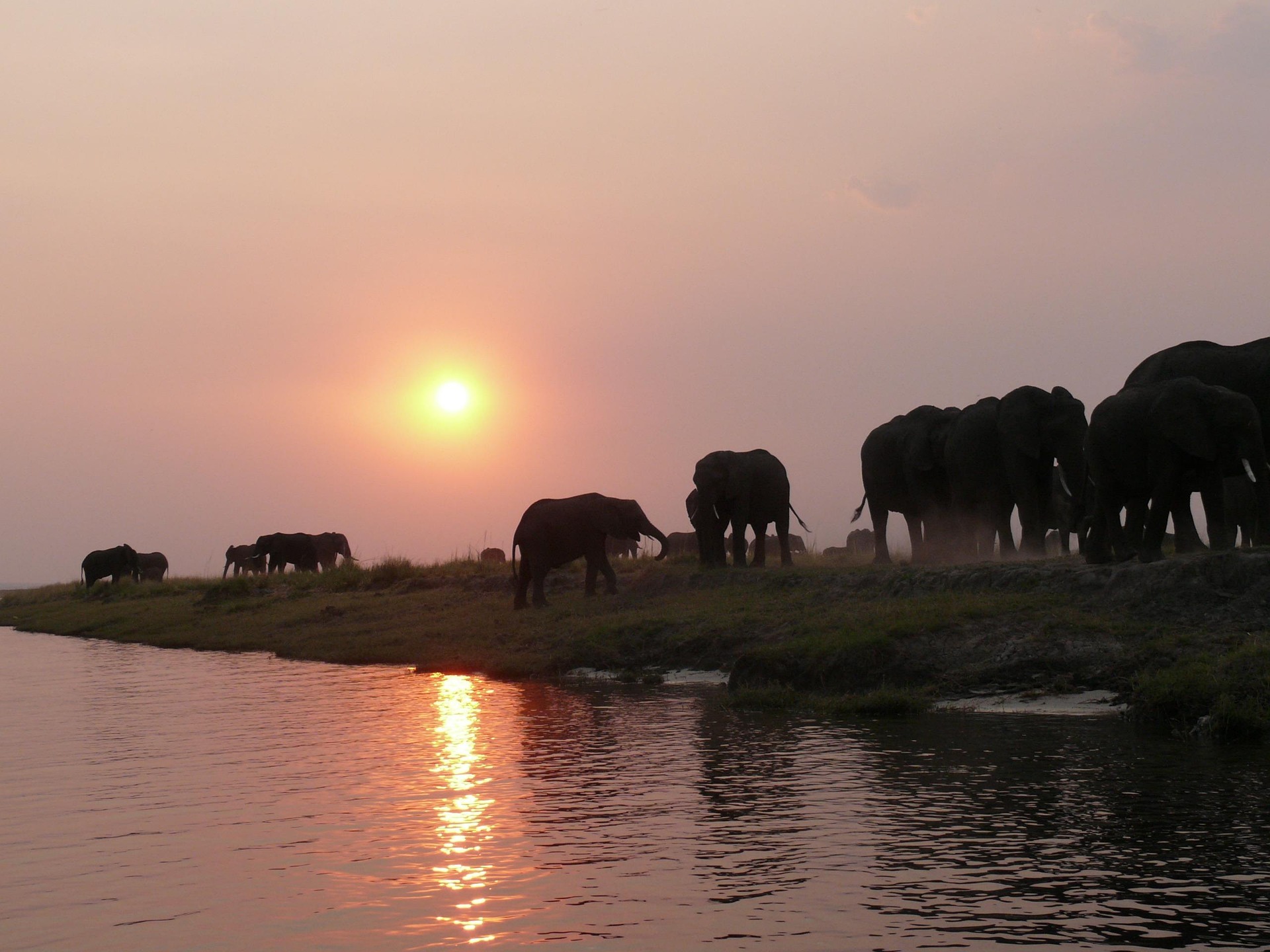 Chobe River elephants Chobe National Park Leonard Kasale